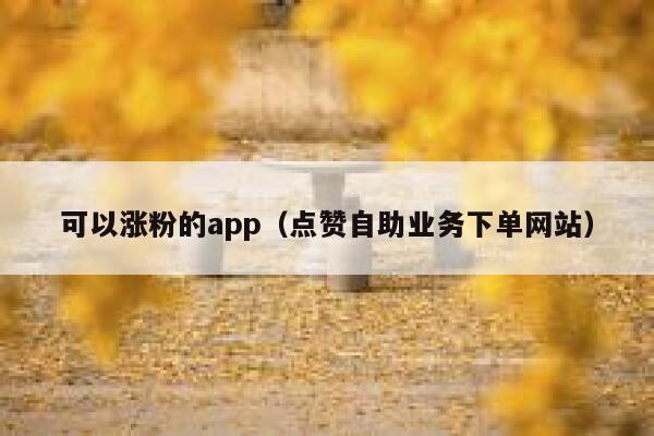 可以涨粉的app（点赞自助业务下单网站） 第1张