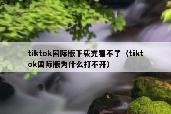 tiktok国际版下载完看不了（tiktok国际版为什么打不开） 第1张