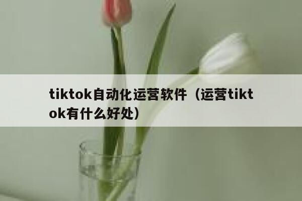tiktok自动化运营软件(运营tiktok有什么好处) 第1张 tiktok自动化运营软件(运营tiktok有什么好处) 第1张