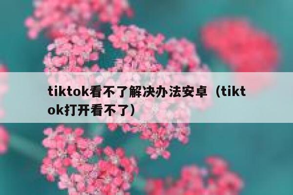 tiktok看不了解决办法安卓（tiktok打开看不了） 第1张