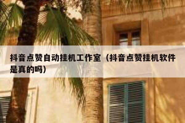 抖音点赞自动挂机工作室（抖音点赞挂机软件是真的吗） 第1张
