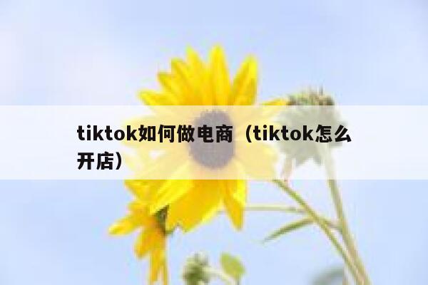 tiktok如何做电商（tiktok怎么开店） 第1张