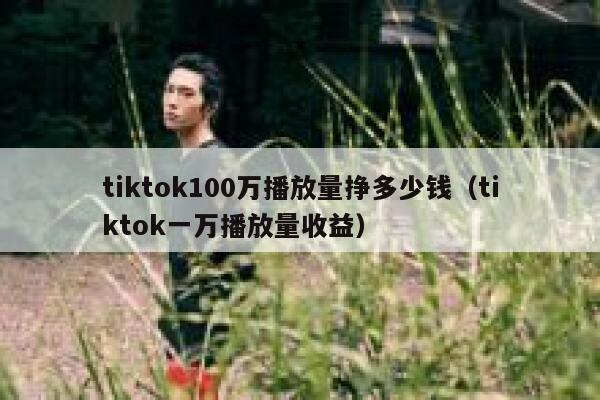 tiktok100万播放量挣多少钱（tiktok一万播放量收益） 第1张