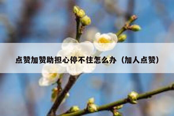 点赞加赞助担心停不住怎么办（加人点赞） 第1张