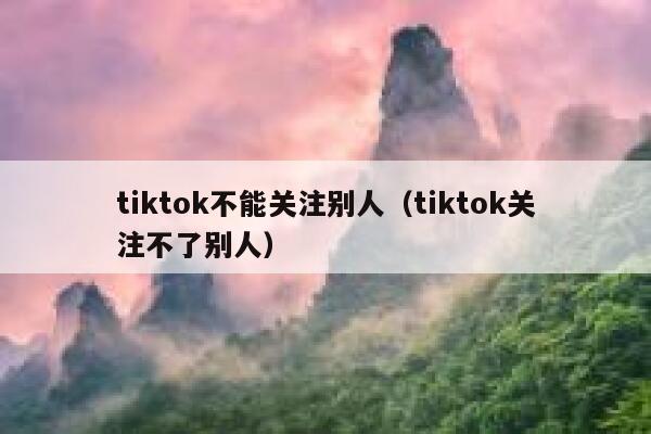 tiktok不能关注别人（tiktok关注不了别人） 第1张