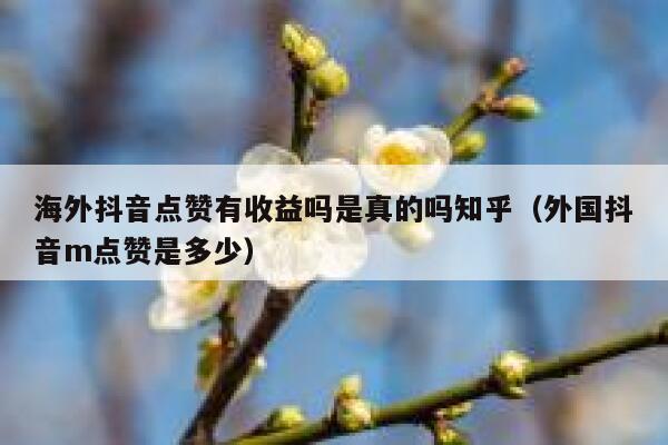海外抖音点赞有收益吗是真的吗知乎（外国抖音m点赞是多少） 第1张