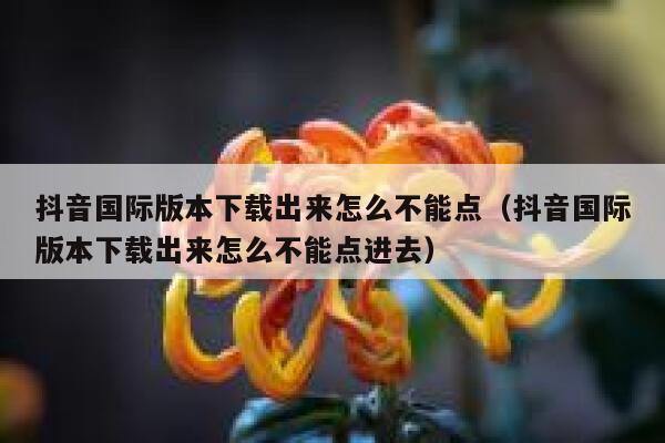 抖音国际版本下载出来怎么不能点（抖音国际版本下载出来怎么不能点进去） 第1张