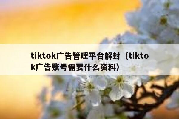 tiktok广告管理平台解封(tiktok广告账号需要什么资料) 第1张 tiktok广告管理平台解封(tiktok广告账号需要什么资料) 第1张