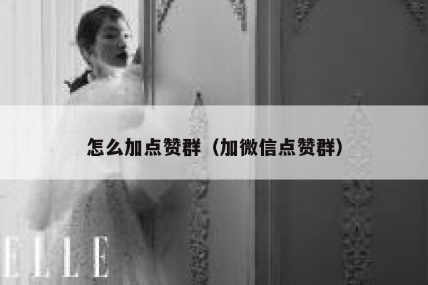 怎么加点赞群(加微信点赞群) 第1张 怎么加点赞群(加微信点赞群) 第1张