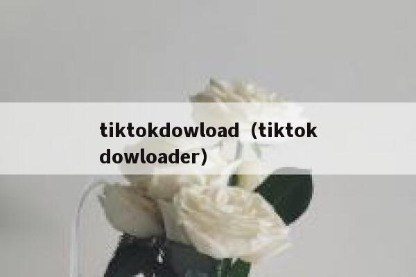 tiktokdowload（tiktokdowloader） 第1张