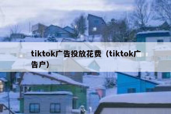 tiktok广告投放花费（tiktok广告户） 第1张