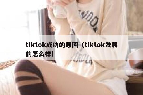 tiktok成功的原因（tiktok发展的怎么样） 第1张