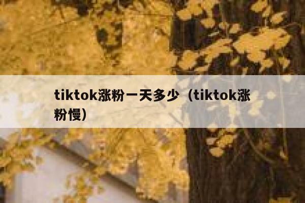 tiktok涨粉一天多少（tiktok涨粉慢） 第1张