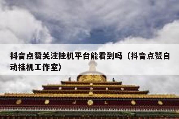 抖音点赞关注挂机平台能看到吗(抖音点赞自动挂机工作室) 第1张 抖音点赞关注挂机平台能看到吗(抖音点赞自动挂机工作室) 第1张