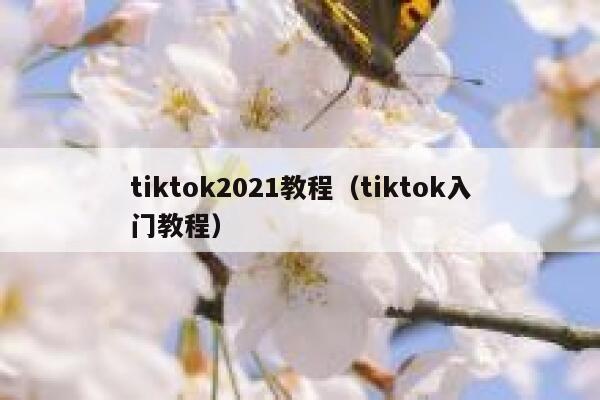 tiktok2021教程（tiktok入门教程） 第1张