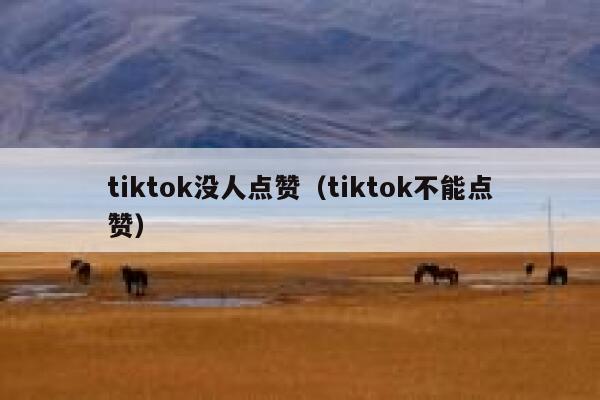 tiktok没人点赞（tiktok不能点赞） 第1张