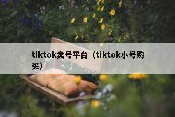 tiktok卖号平台（tiktok小号购买） 第1张