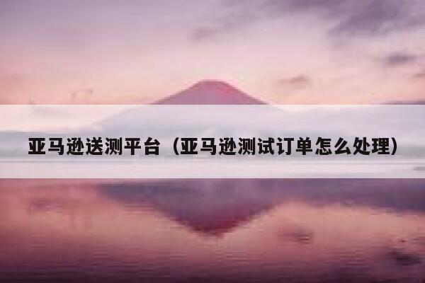 亚马逊送测平台（亚马逊测试订单怎么处理） 第1张