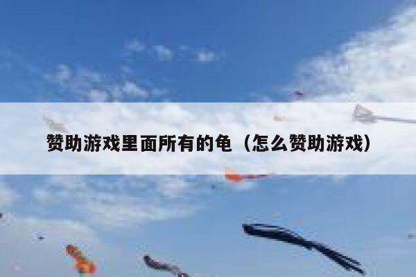 赞助游戏里面所有的龟（怎么赞助游戏） 第1张