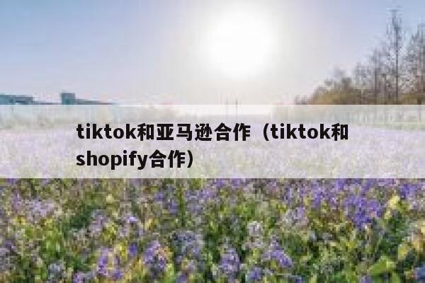 tiktok和亚马逊合作(tiktok和shopify合作) 第1张 tiktok和亚马逊合作(tiktok和shopify合作) 第1张