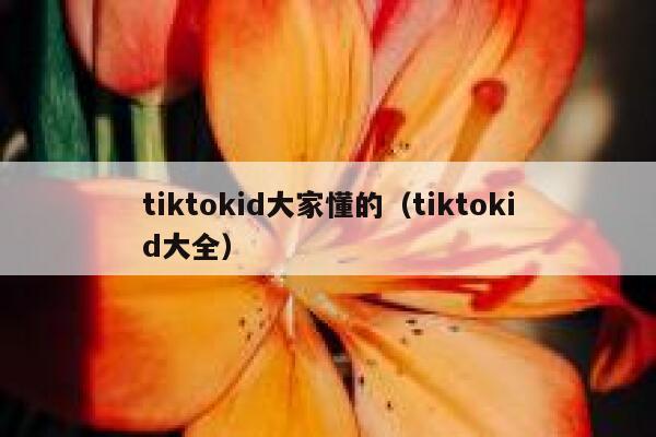 tiktokid大家懂的(tiktokid大全) 第1张 tiktokid大家懂的(tiktokid大全) 第1张