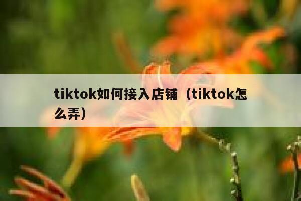 tiktok如何接入店铺（tiktok怎么弄） 第1张