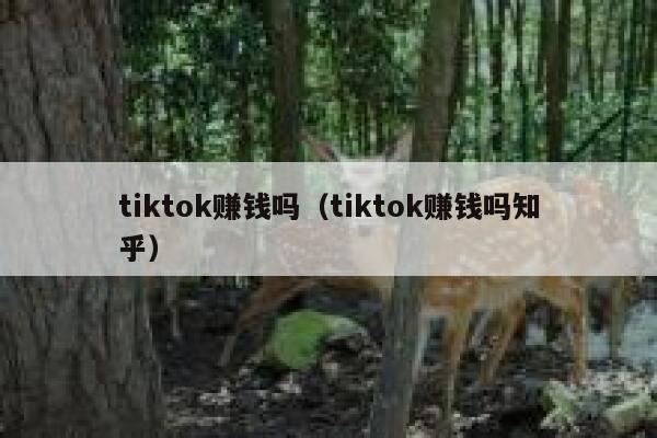 tiktok赚钱吗(tiktok赚钱吗知乎) 第1张 tiktok赚钱吗(tiktok赚钱吗知乎) 第1张