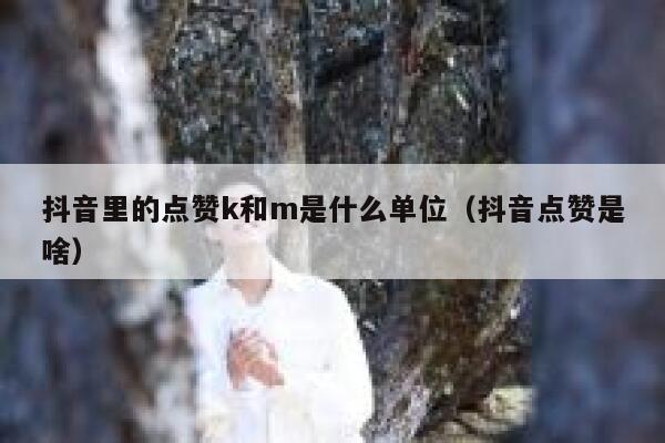 抖音里的点赞k和m是什么单位(抖音点赞是啥) 第1张 抖音里的点赞k和m是什么单位(抖音点赞是啥) 第1张