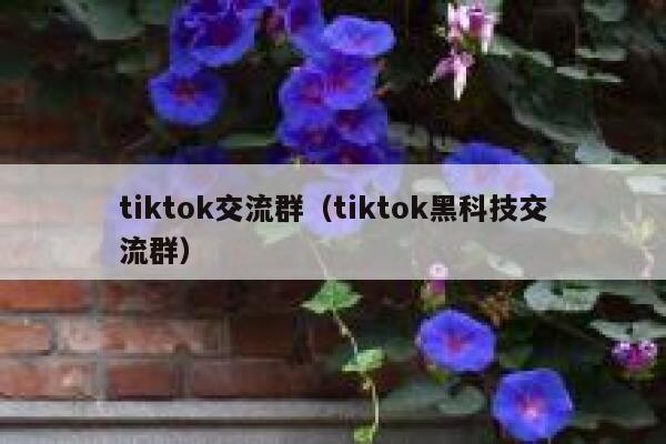 tiktok交流群（tiktok黑科技交流群） 第1张