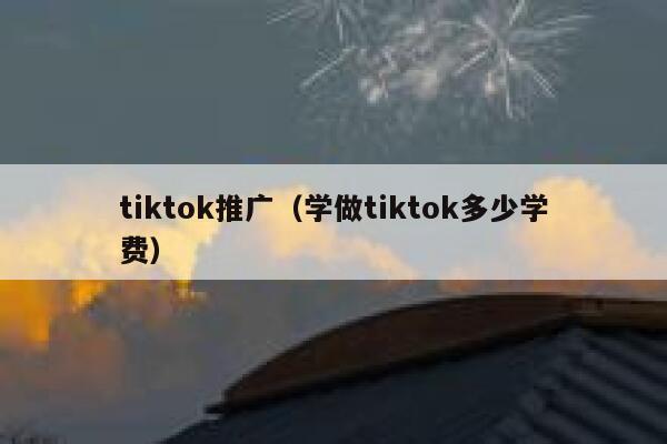 tiktok推广（学做tiktok多少学费） 第1张