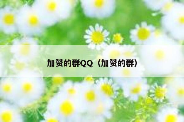 加赞的群QQ（加赞的群） 第1张