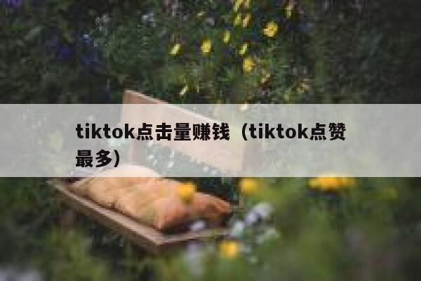 tiktok点击量赚钱（tiktok点赞最多） 第1张