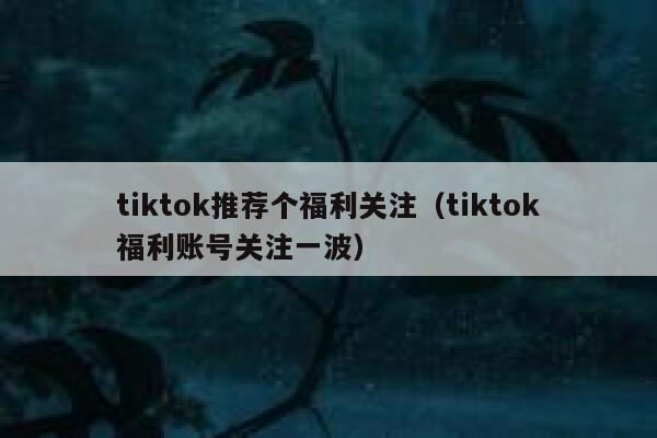 tiktok推荐个福利关注(tiktok福利账号关注一波) 第1张 tiktok推荐个福利关注(tiktok福利账号关注一波) 第1张