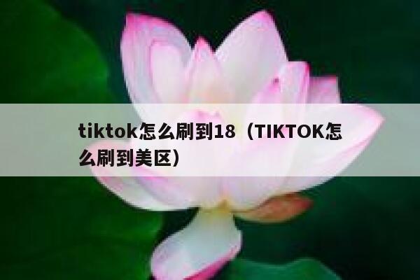 tiktok怎么刷到18（TIKTOK怎么刷到美区） 第1张