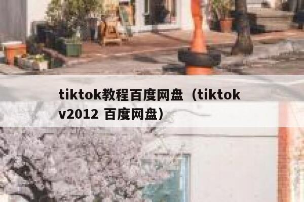 tiktok教程百度网盘（tiktok v2012 百度网盘） 第1张