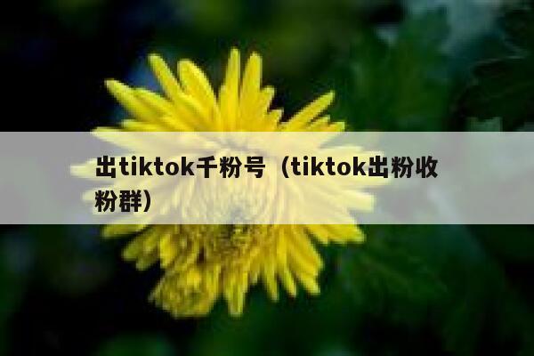 出tiktok千粉号（tiktok出粉收粉群） 第1张