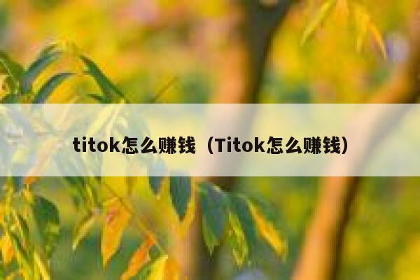 titok怎么赚钱（Titok怎么赚钱） 第1张