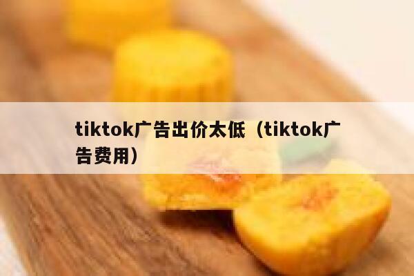 tiktok广告出价太低（tiktok广告费用） 第1张