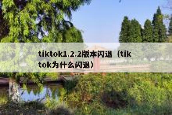 tiktok1.2.2版本闪退（tik tok为什么闪退） 第1张