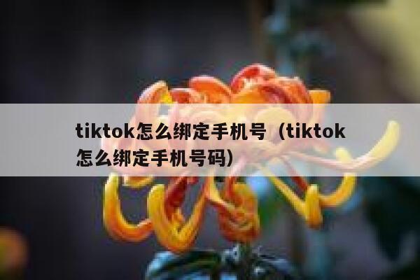 tiktok怎么绑定手机号（tiktok怎么绑定手机号码） 第1张