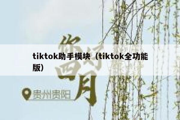 tiktok助手模块(tiktok全功能版) 第1张 tiktok助手模块(tiktok全功能版) 第1张