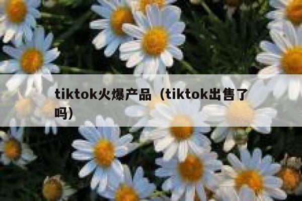 tiktok火爆产品(tiktok出售了吗) 第1张 tiktok火爆产品(tiktok出售了吗) 第1张