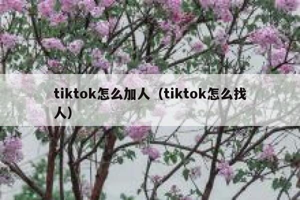 tiktok怎么加人(tiktok怎么找人) 第1张 tiktok怎么加人(tiktok怎么找人) 第1张