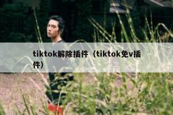 tiktok解除插件(tiktok免v插件) 第1张 tiktok解除插件(tiktok免v插件) 第1张