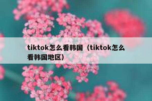 tiktok怎么看韩国（tiktok怎么看韩国地区） 第1张