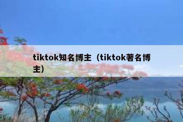 tiktok知名博主（tiktok著名博主） 第1张