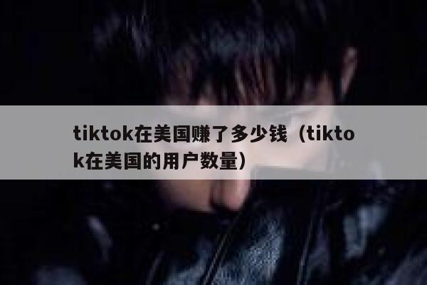 tiktok在美国赚了多少钱（tiktok在美国的用户数量） 第1张