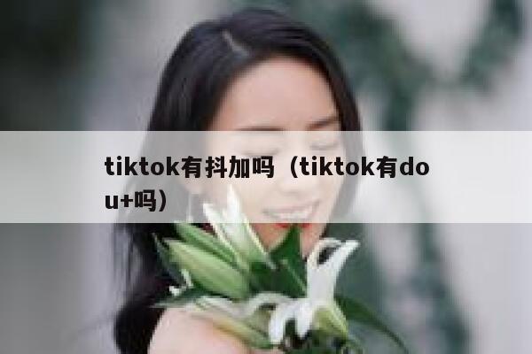 tiktok有抖加吗（tiktok有dou+吗） 第1张