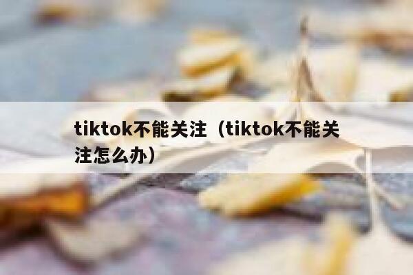 tiktok不能关注（tiktok不能关注怎么办） 第1张
