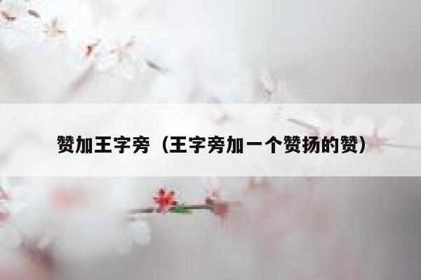 赞加王字旁（王字旁加一个赞扬的赞） 第1张